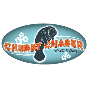 Waves & Rays Sticker Pack